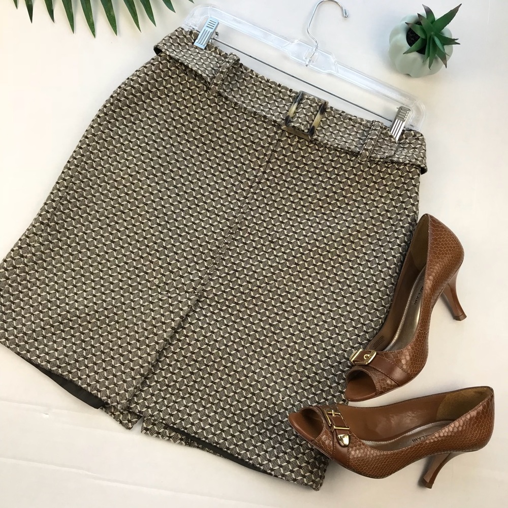 Ann Taylor Skirt lined W/belt 2P